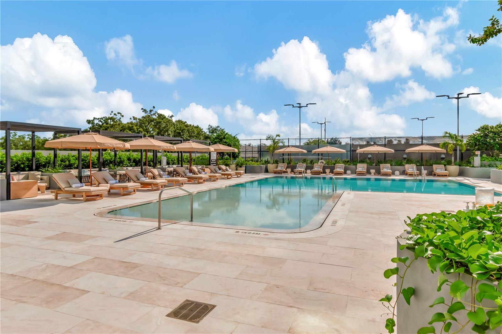 3101 W BAYSHORE BLVD #804, TAMPA, FL — photo 77