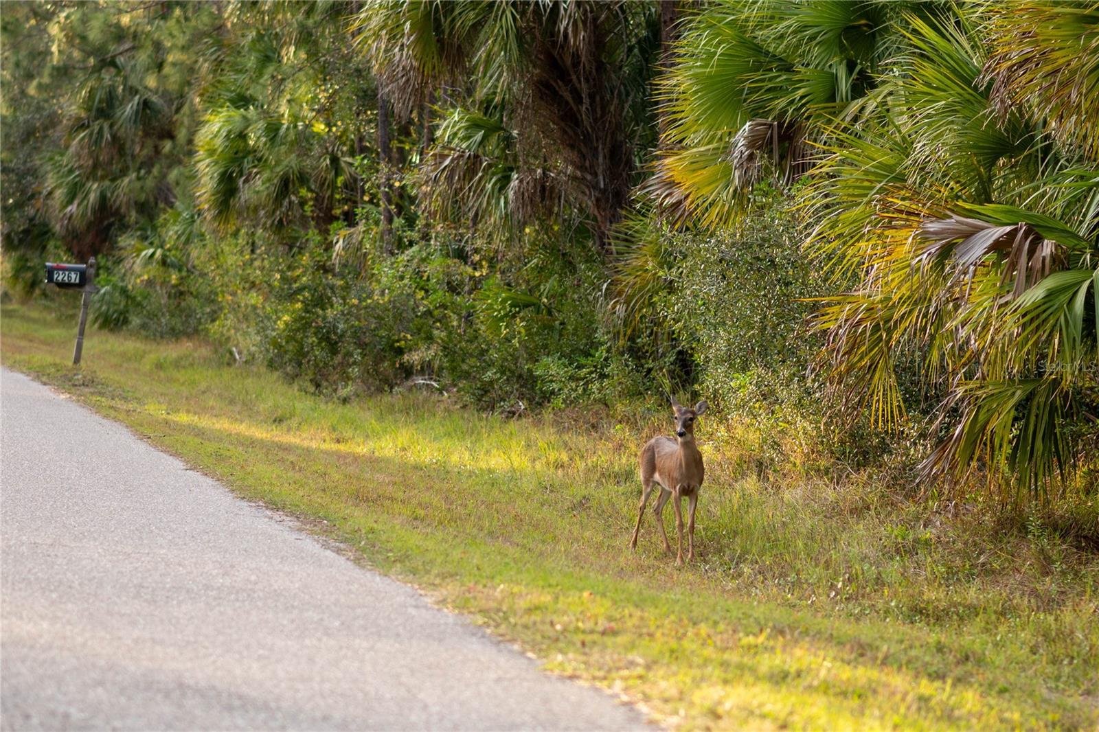 KAMSLER AVE, NORTH PORT, FL — photo 39