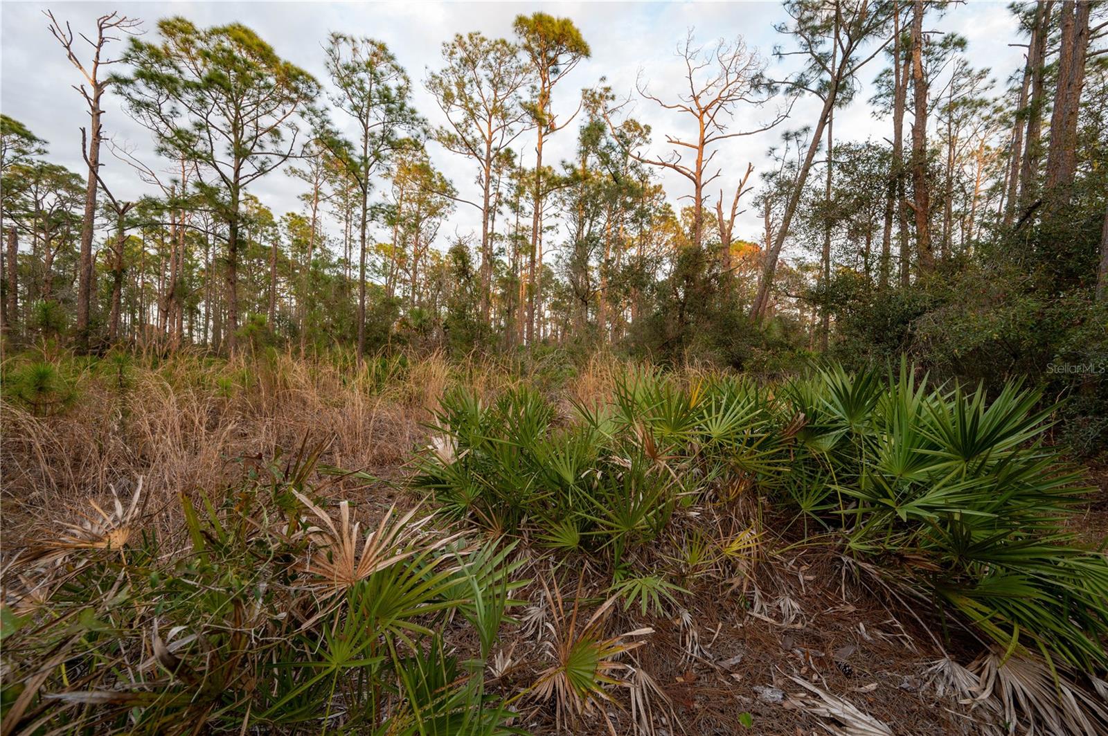 KAMSLER AVE, NORTH PORT, FL — photo 46