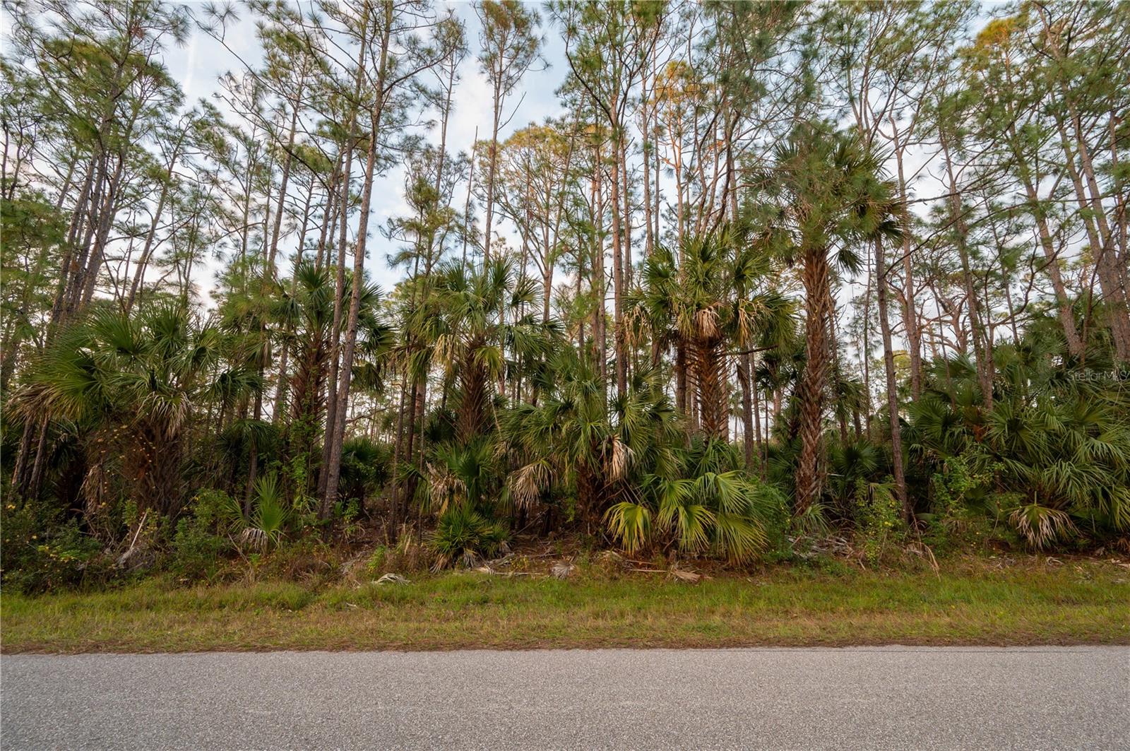 KAMSLER AVE, NORTH PORT, FL — photo 49