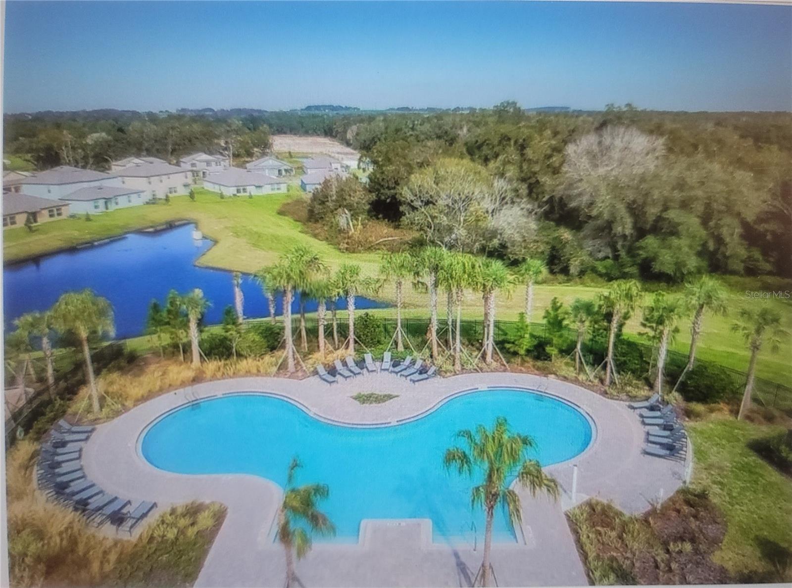 7238 STEER BLADE DR, ZEPHYRHILLS, FL — photo 27