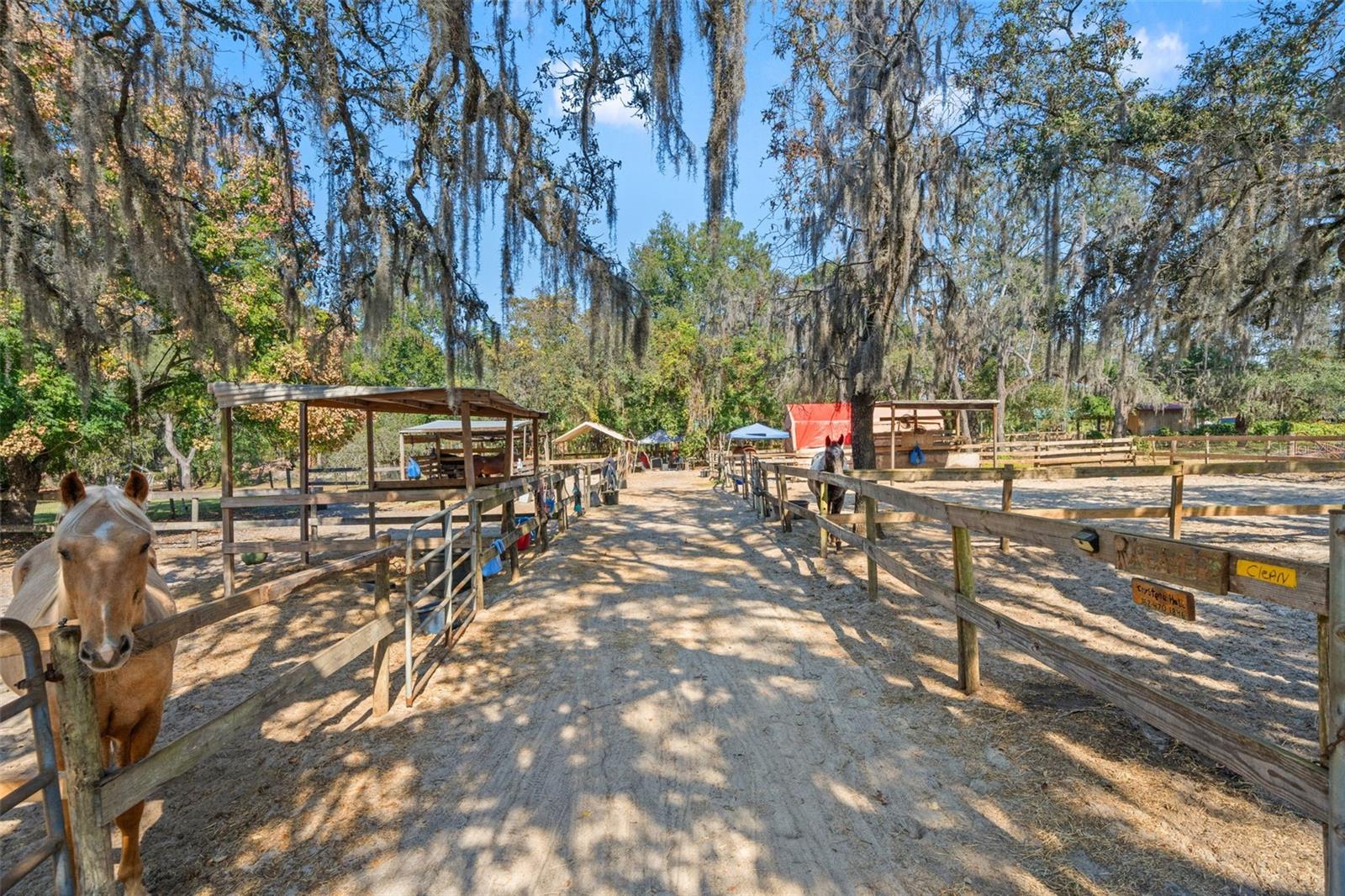 9615 EDEN AVE, HUDSON, FL — photo 51