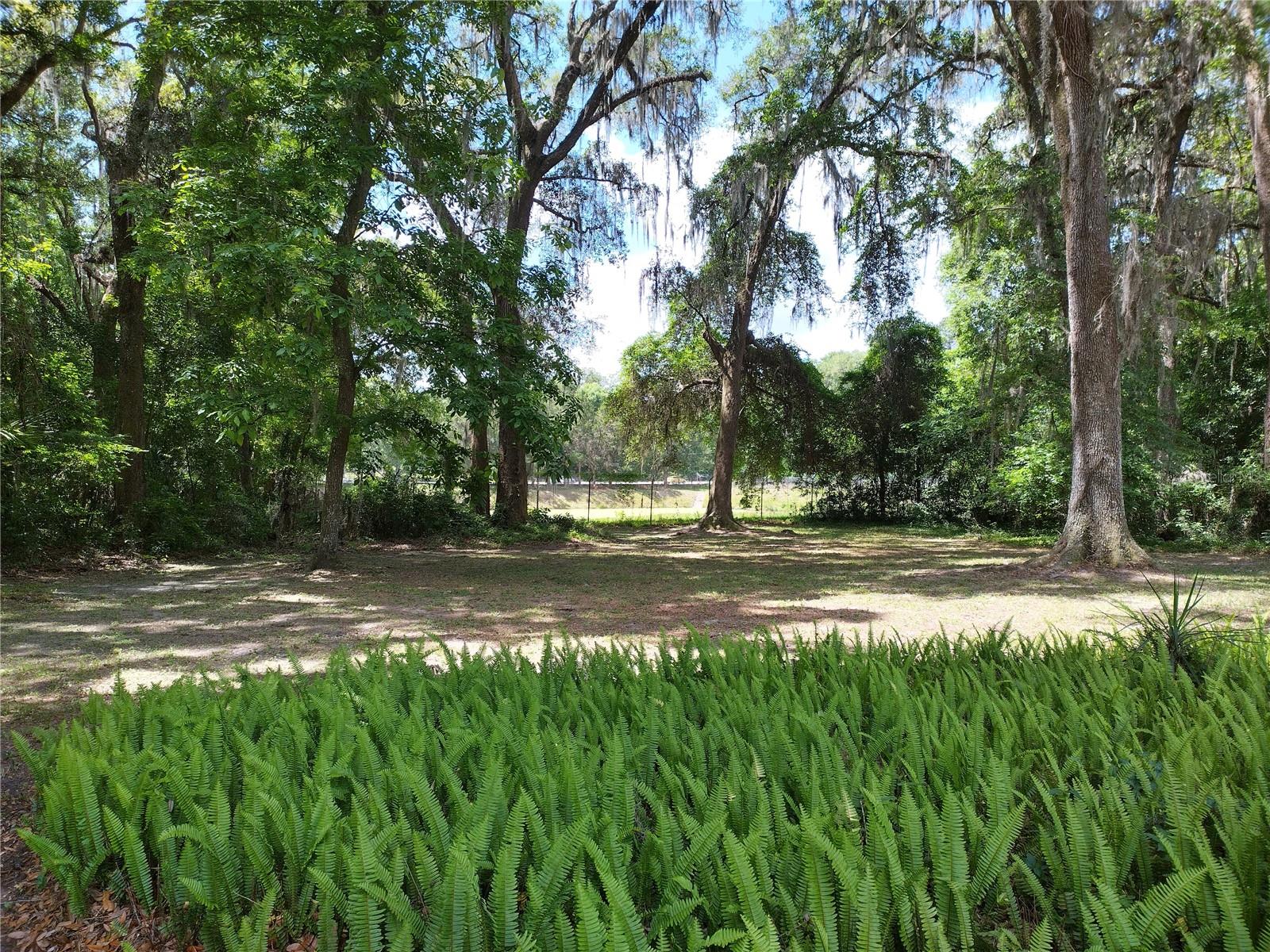 1602 SW WILLISTON RD #A, GAINESVILLE, FL — photo 2