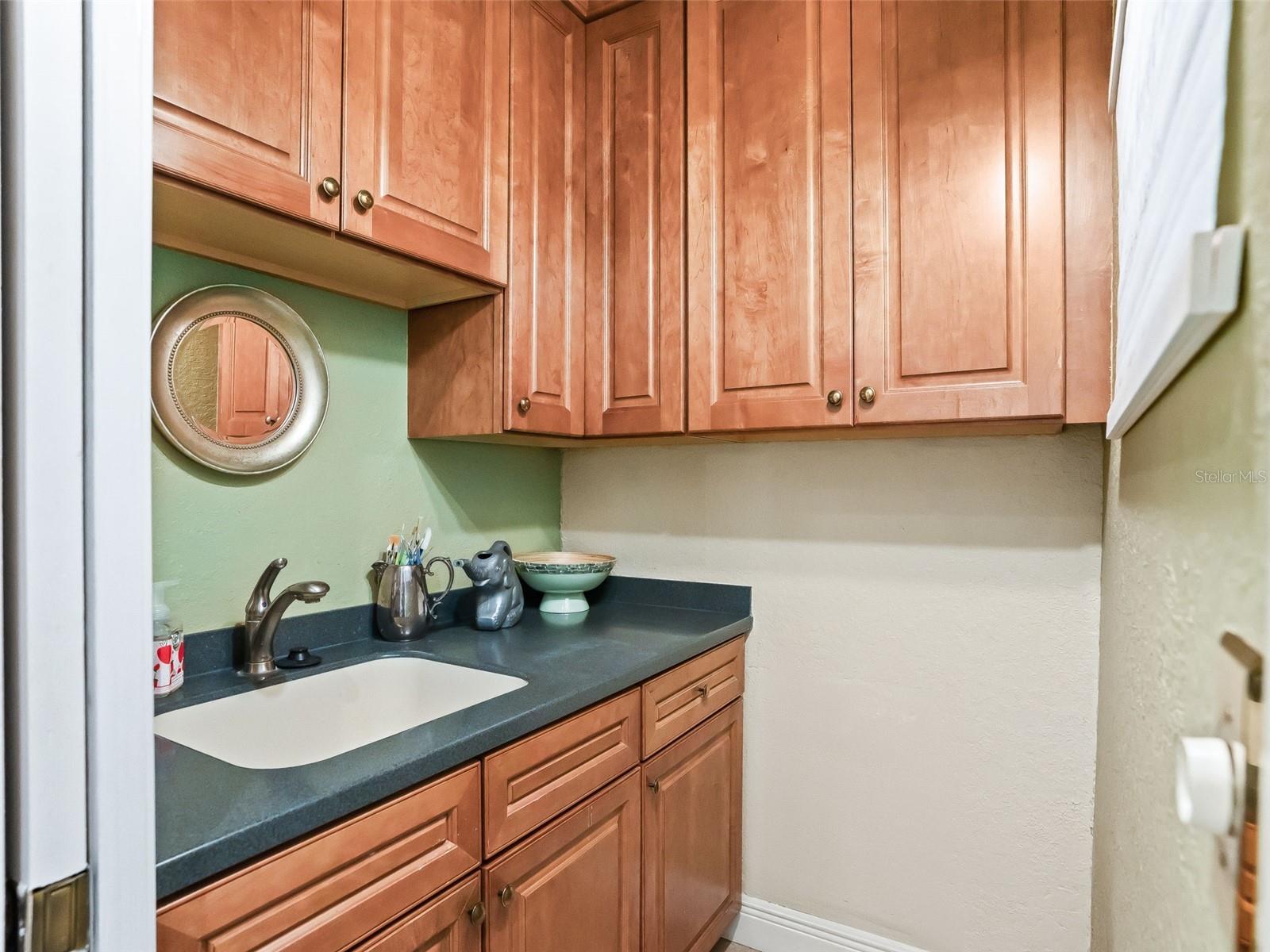 39023 GRIFFIN LNDG, LADY LAKE, FL — photo 47
