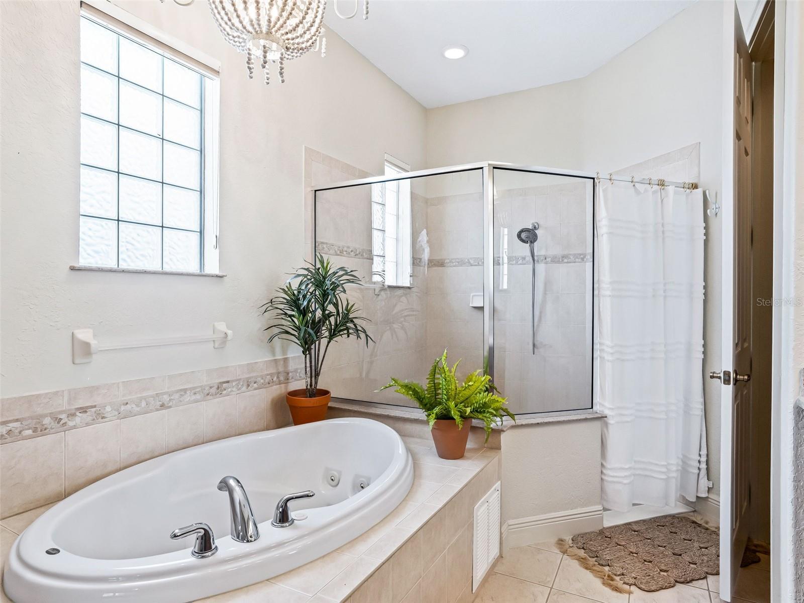 39023 GRIFFIN LNDG, LADY LAKE, FL — photo 61