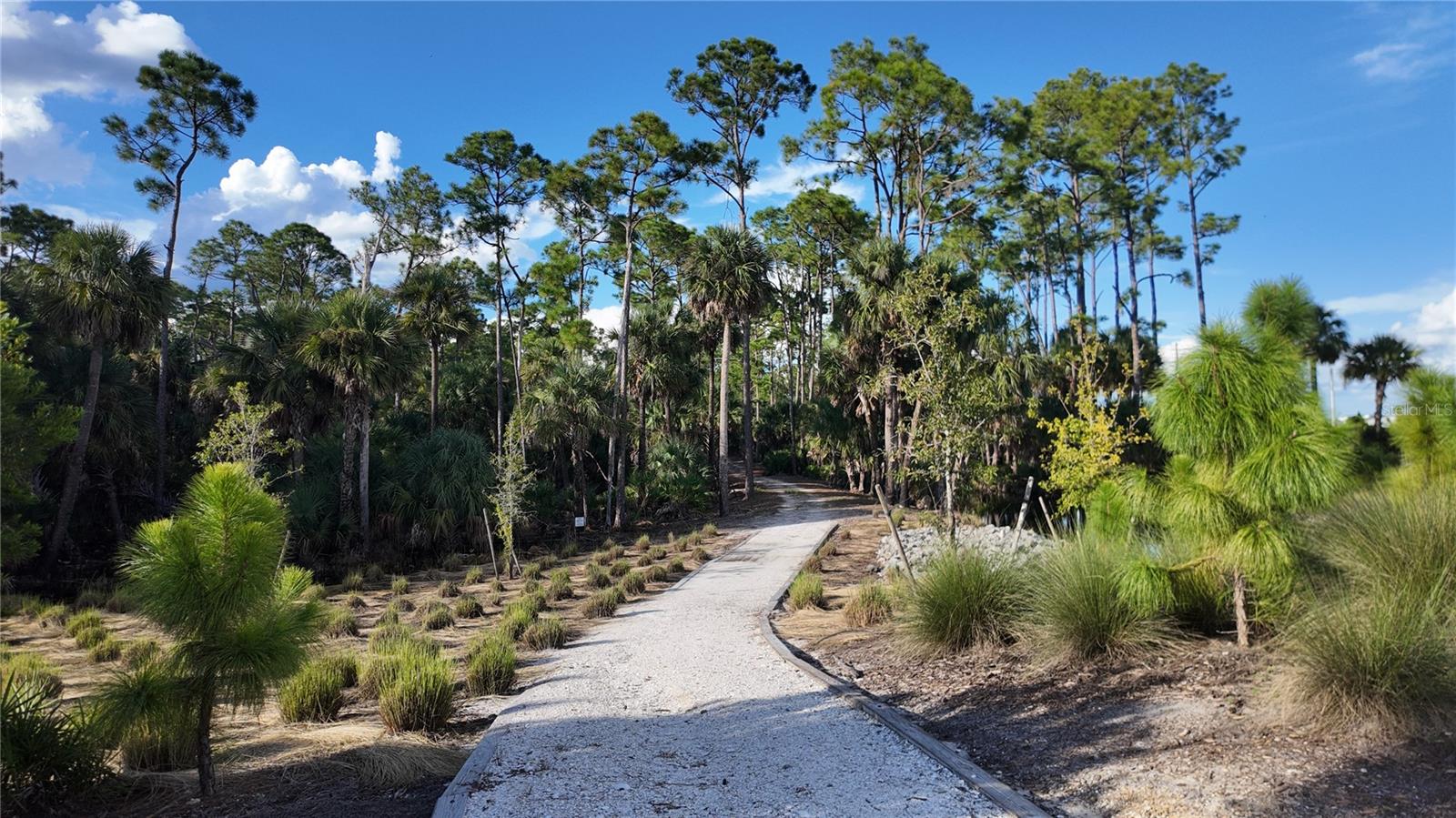 44259 SADDLEWOOD CT, PUNTA GORDA, FL — photo 54