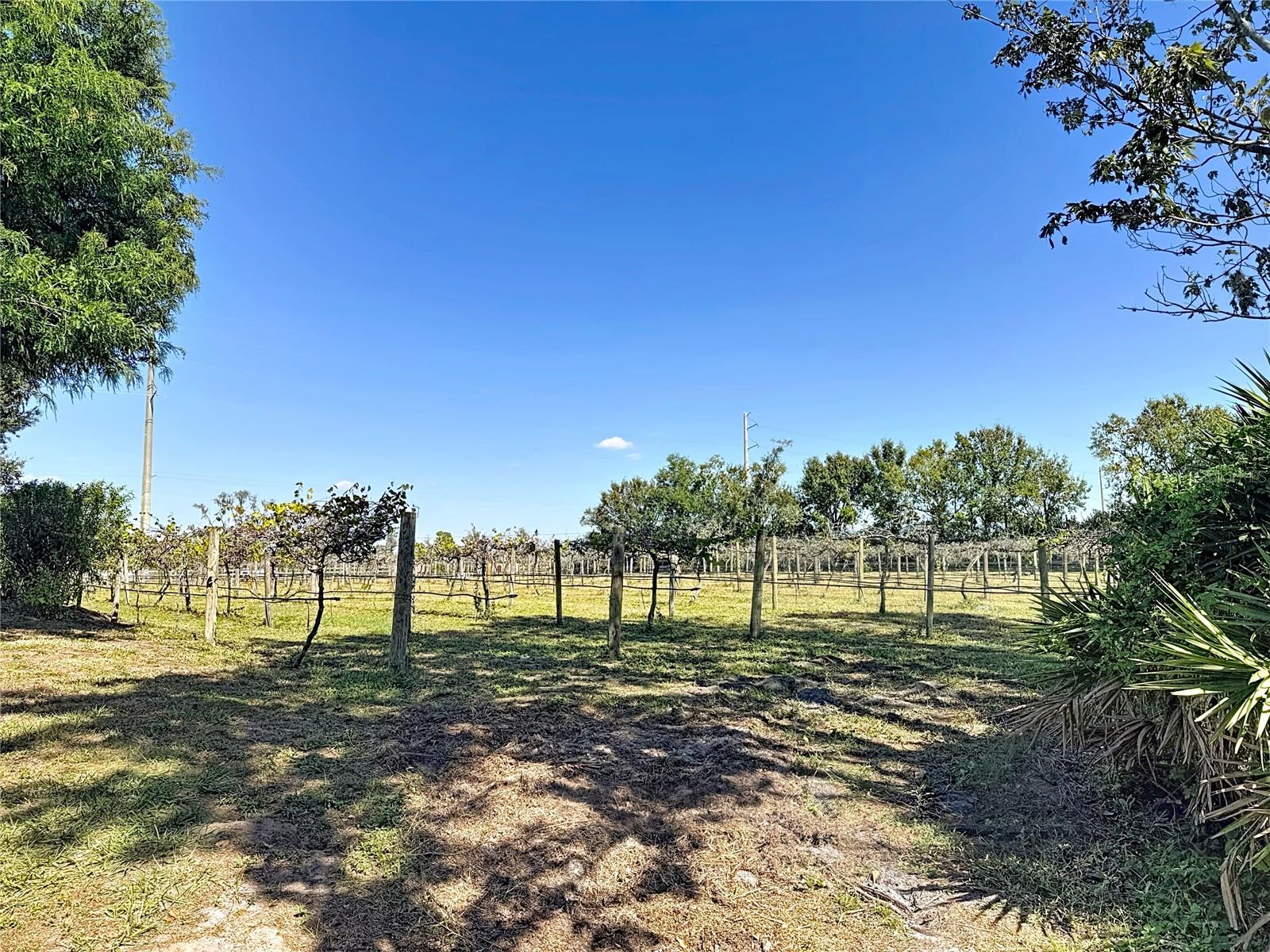 19600 E STATE ROAD 64, BRADENTON, FL — photo 61