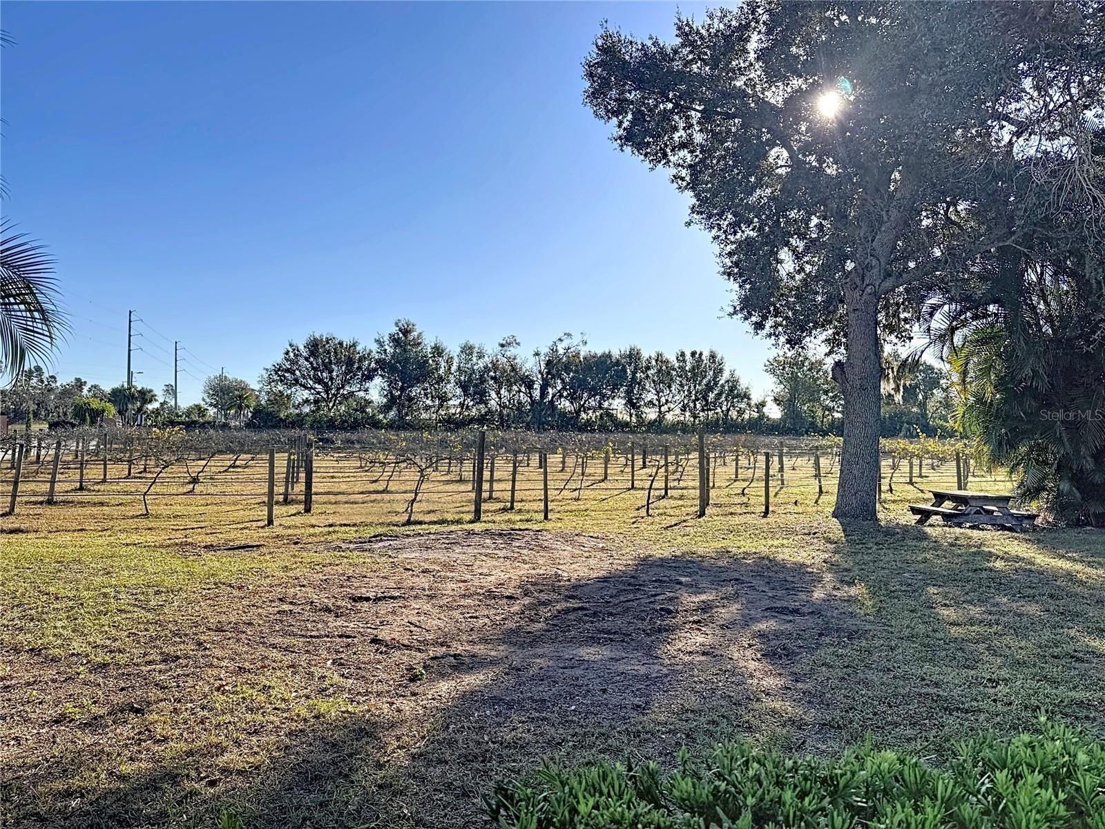 19600 E STATE ROAD 64, BRADENTON, FL — photo 89
