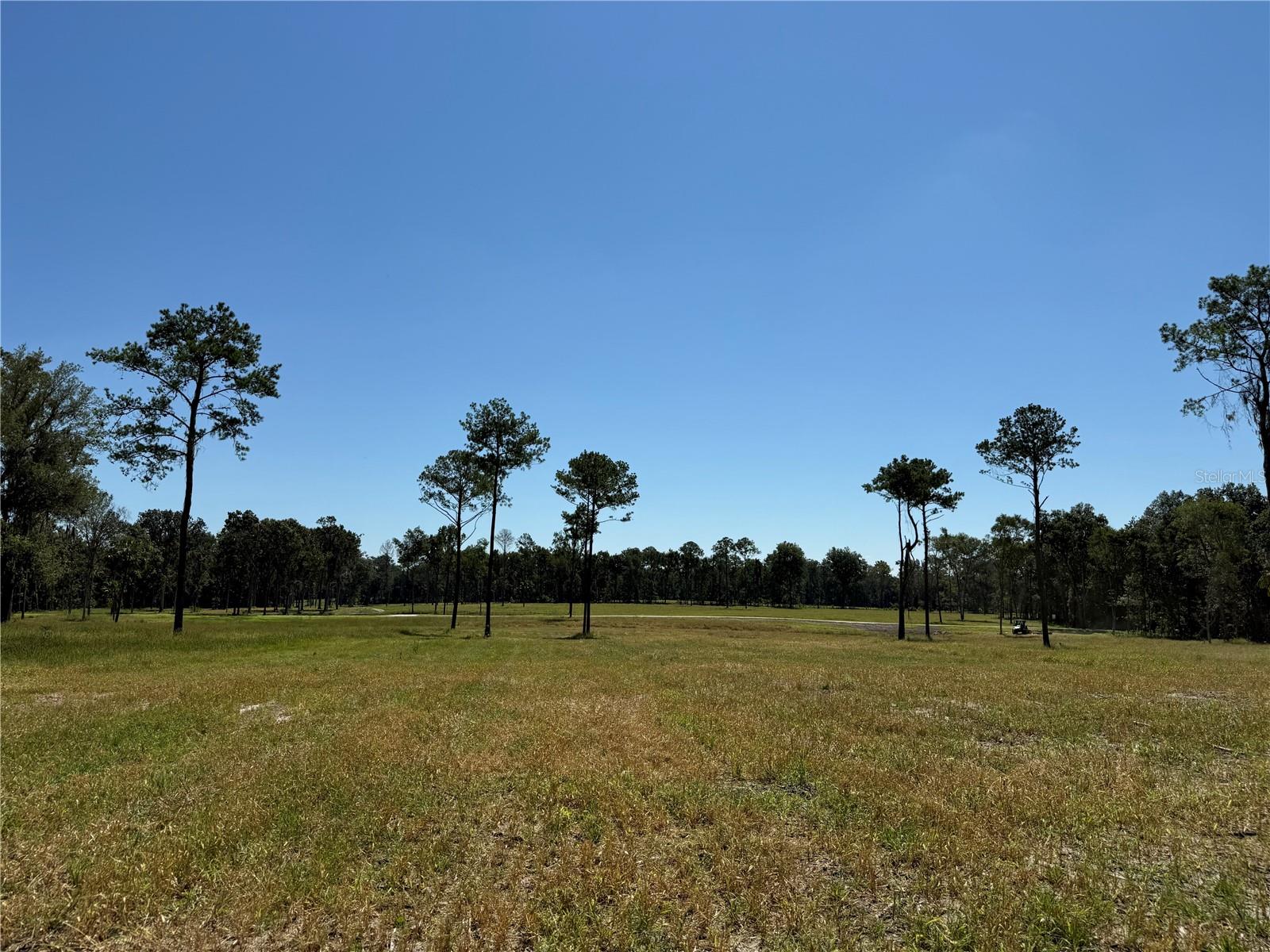 DR #8 (10ac) NW 193RD ST, MICANOPY, FL