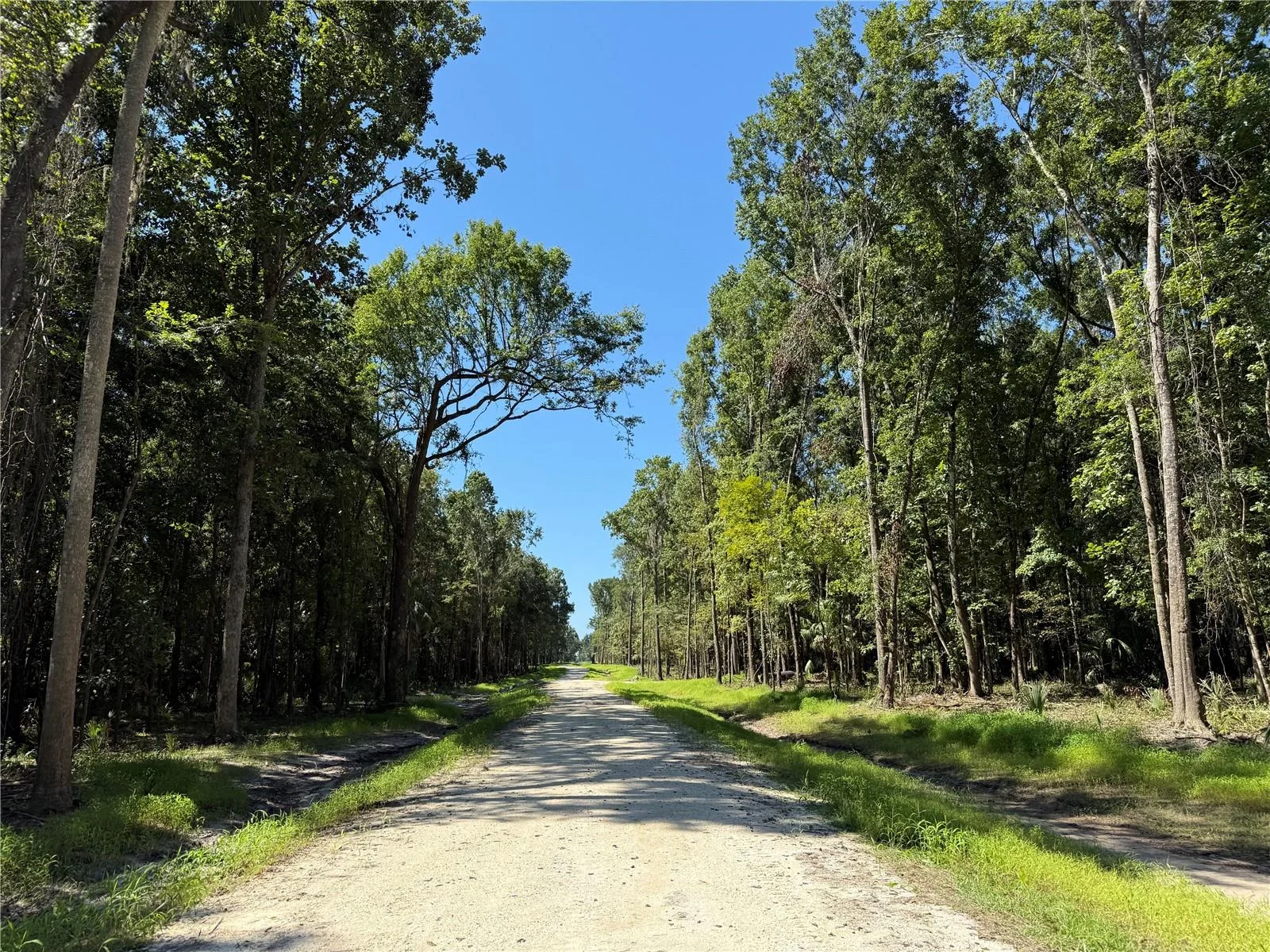 DR #8 (10ac) NW 193RD ST, MICANOPY, FL — photo 4