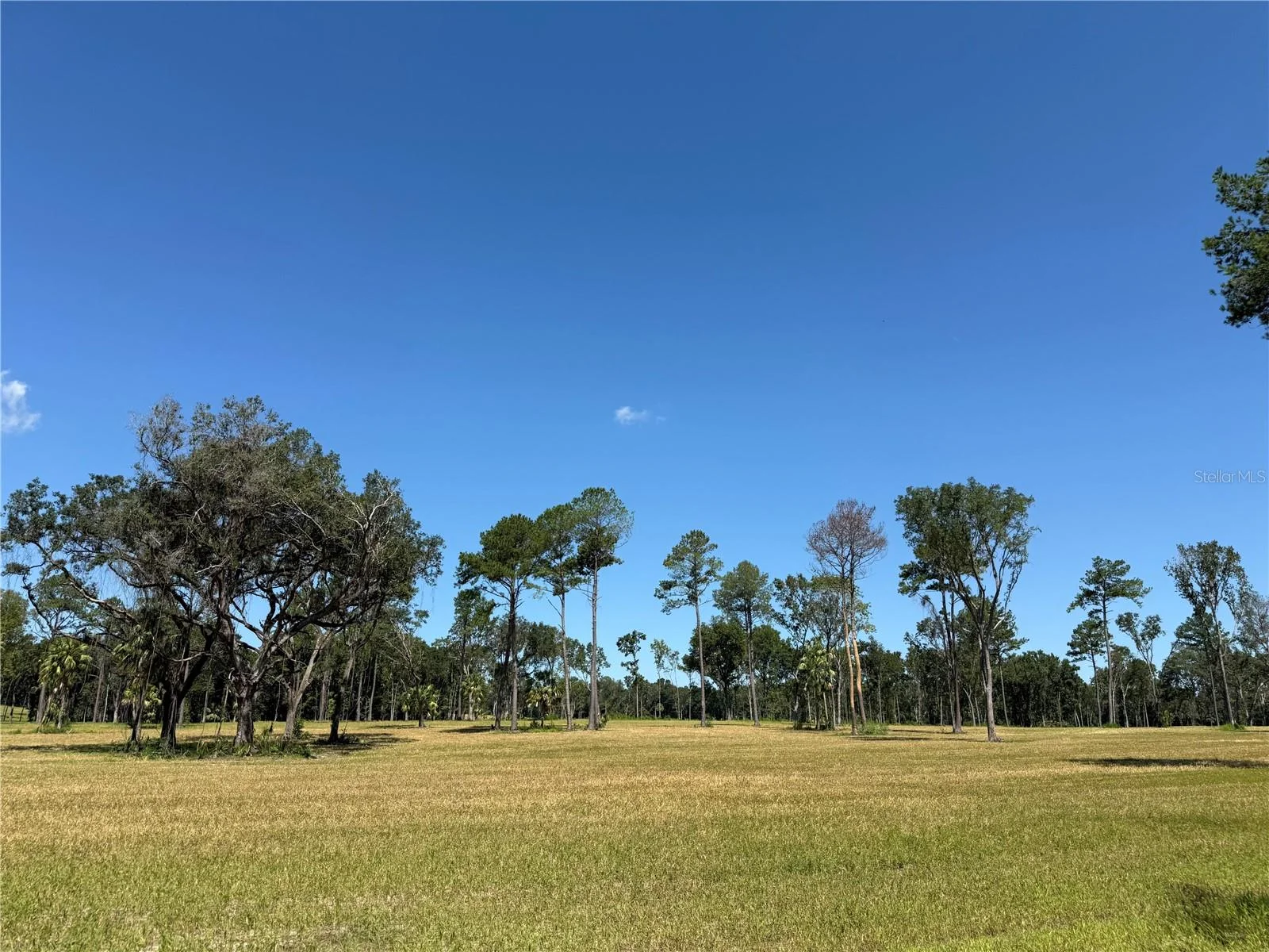 DR #8 (10ac) NW 193RD ST, MICANOPY, FL — photo 9