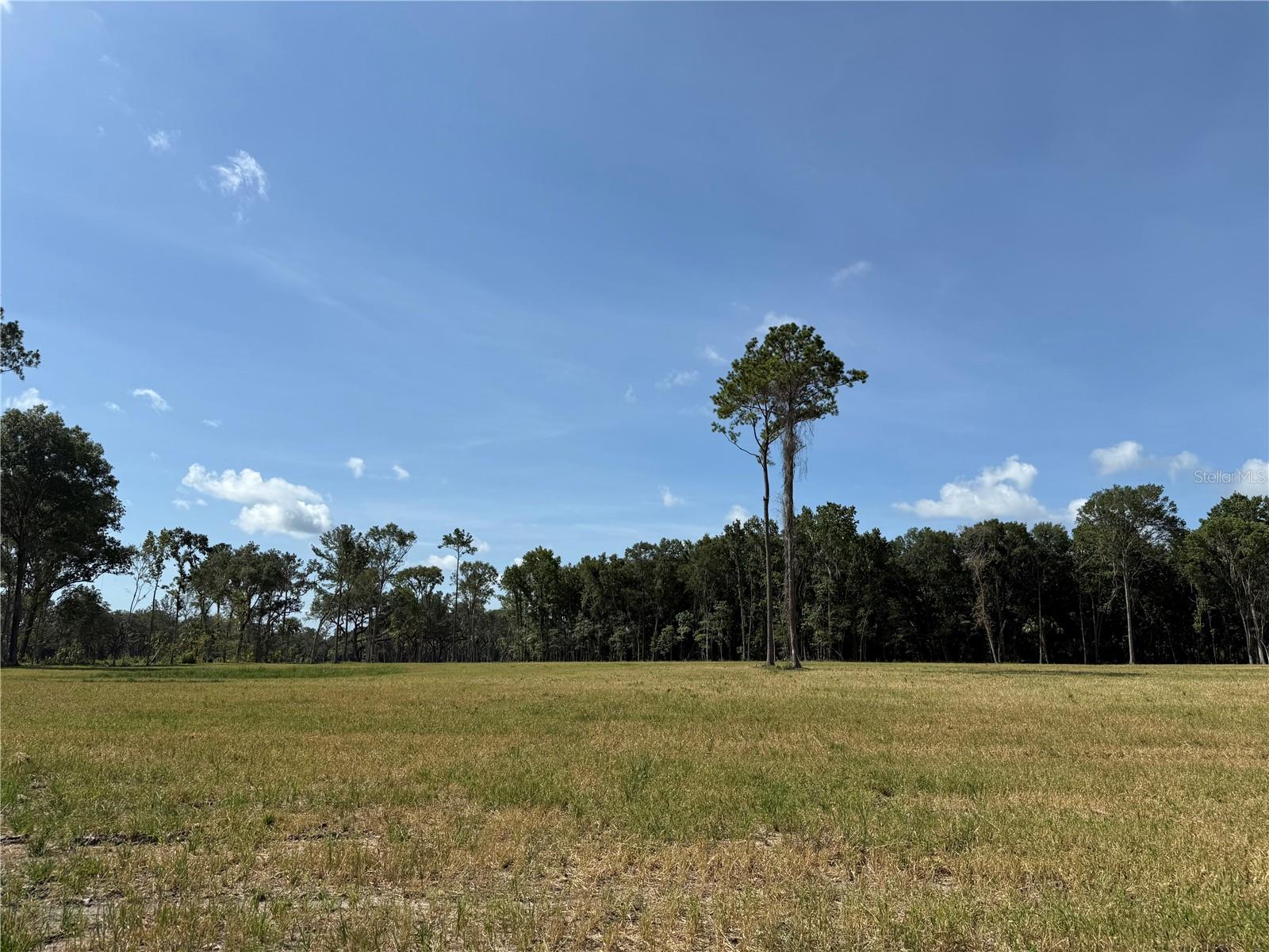 DR #8 (10ac) NW 193RD ST, MICANOPY, FL — photo 15