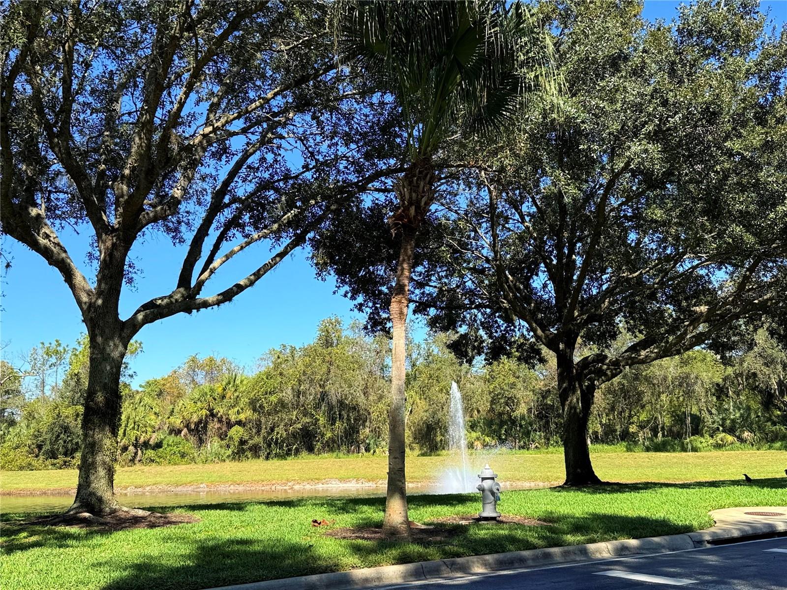 8587 SUNRISE KEY DR, KISSIMMEE, FL — photo 47