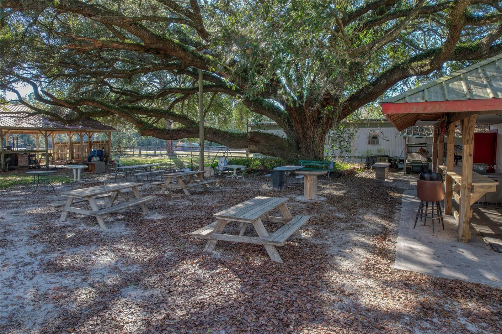 2451 SE HIGHWAY 41, MORRISTON, FL — photo 62