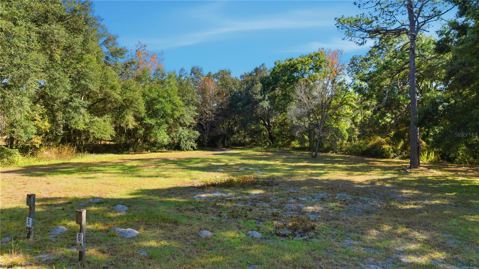 2451 SE HIGHWAY 41, MORRISTON, FL — photo 92