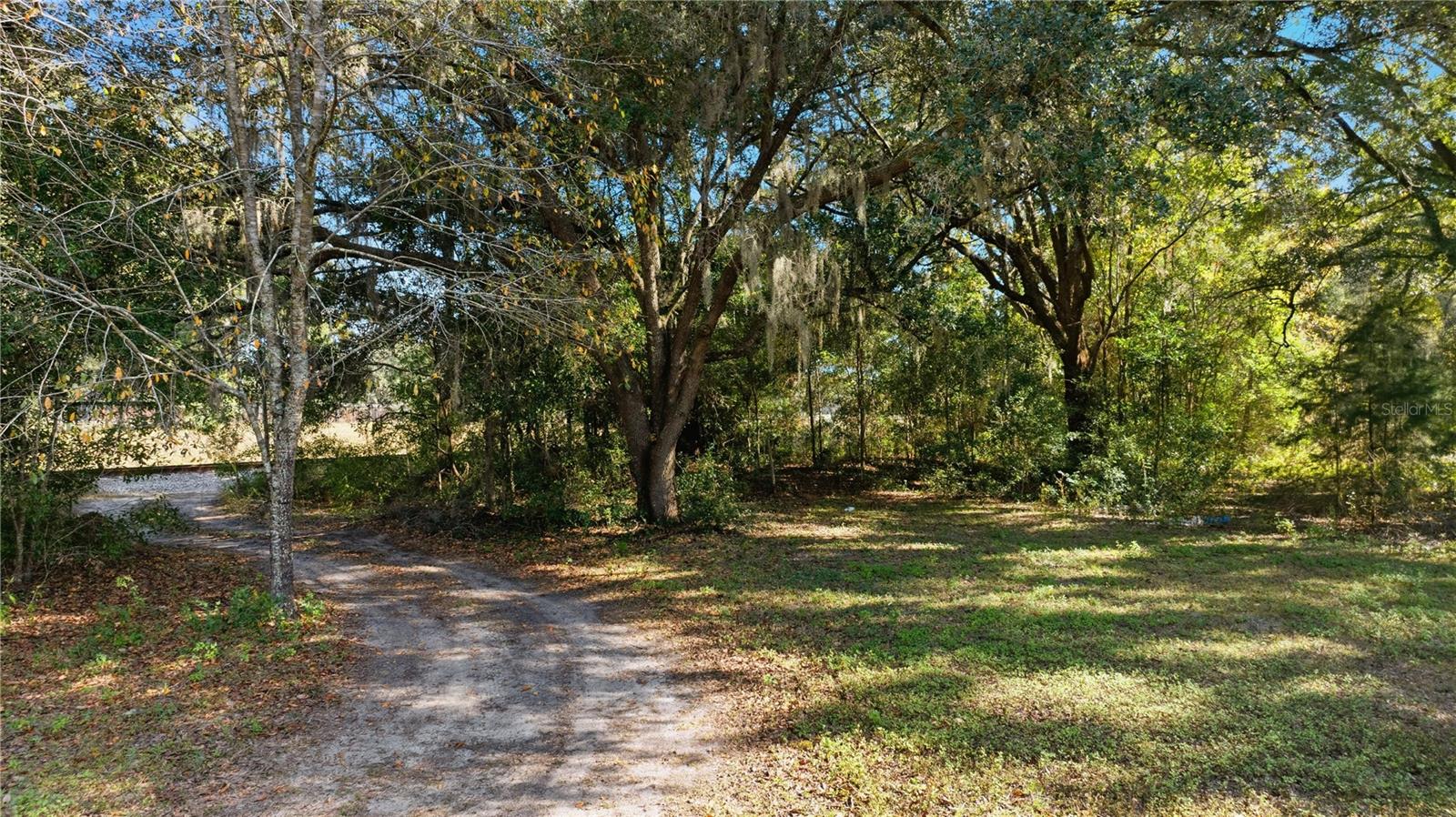 2451 SE HIGHWAY 41, MORRISTON, FL — photo 93