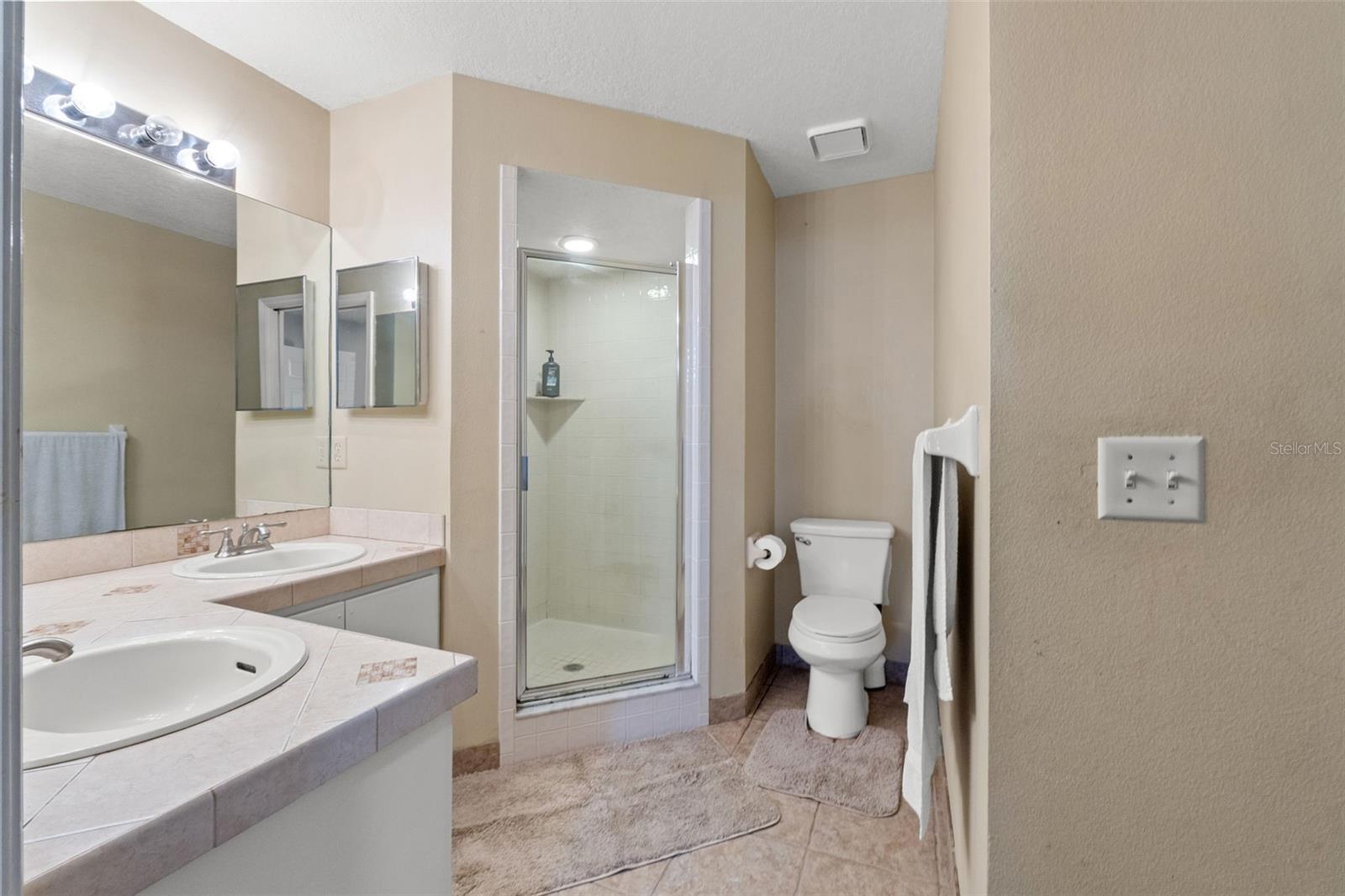 23315 CLUB VILLAS DR, LAND O LAKES, FL — photo 5