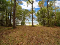 7173 W R THOMAS RD — photo 2