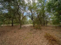 7173 W R THOMAS RD — photo 60