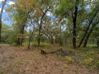 7173 W R THOMAS RD — photo 71