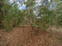 7173 W R THOMAS RD — photo 72