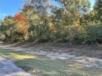 7173 W R THOMAS RD — photo 74