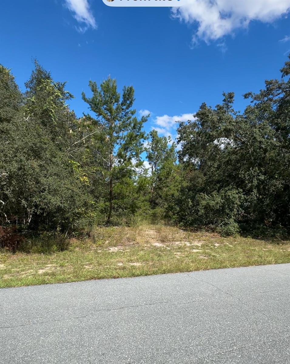 TBD SW 166TH STREET, OCALA, FL