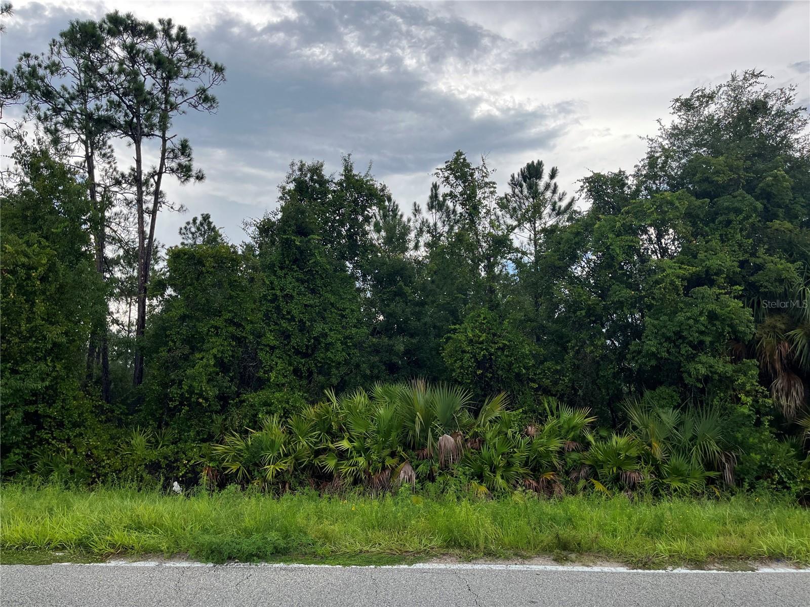6883 ST JOHNS AVE, PALATKA, FL — photo 3