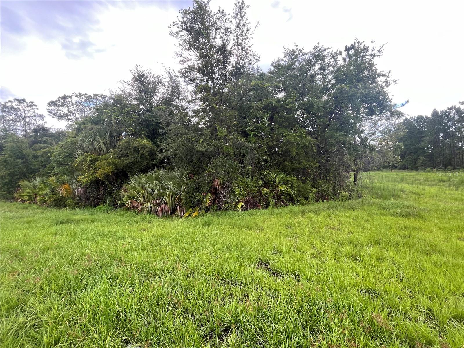 6883 ST JOHNS AVE, PALATKA, FL — photo 4