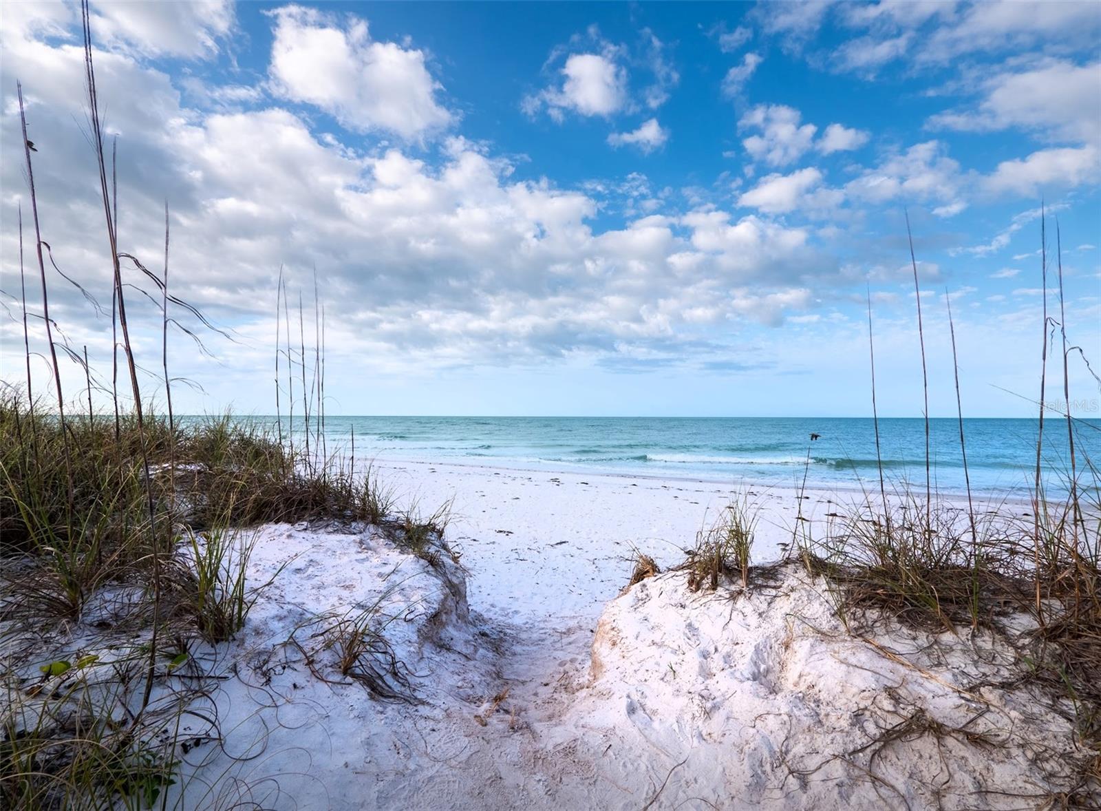 333 FIREHOUSE CT, LONGBOAT KEY, FL — photo 68