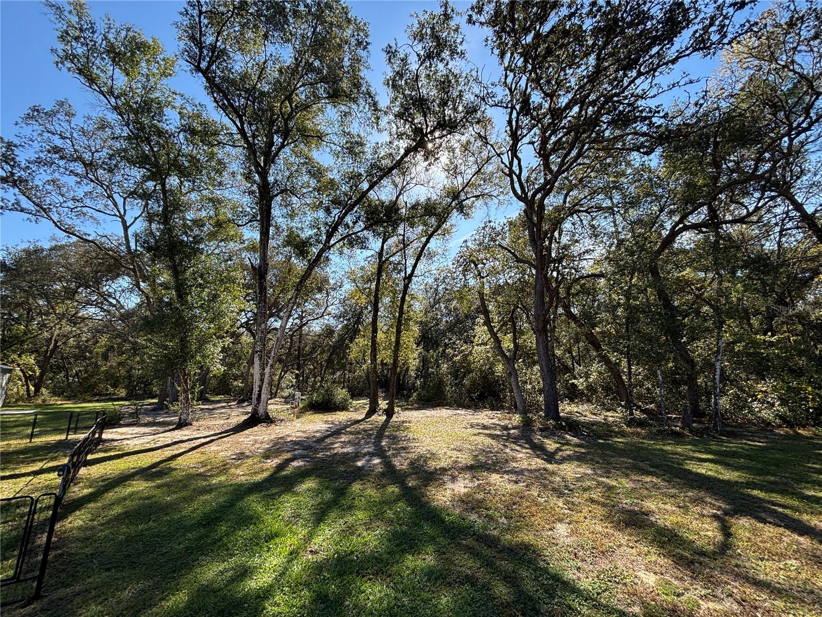 5870 SE 171ST CT, OCKLAWAHA, FL — photo 5