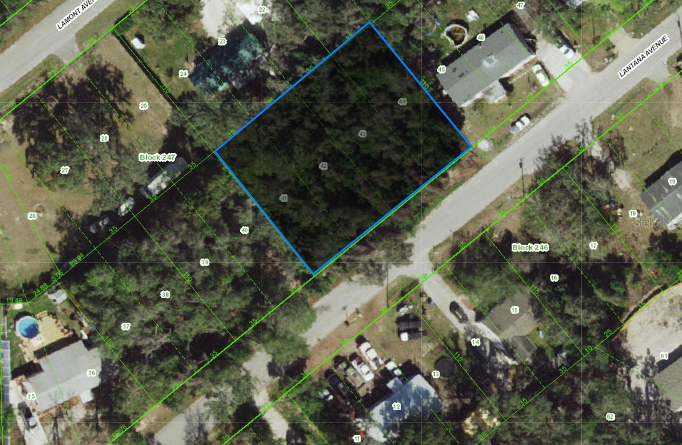 00 LANTANA AVE, NEW PORT RICHEY, FL — photo 5