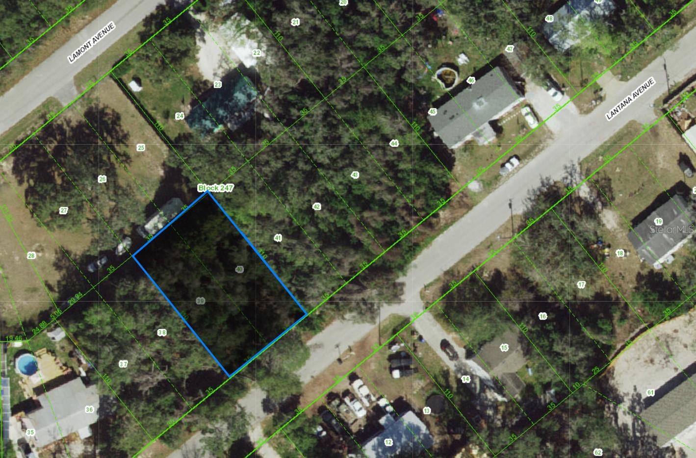 000 LANTANA AVE, NEW PORT RICHEY, FL — photo 3