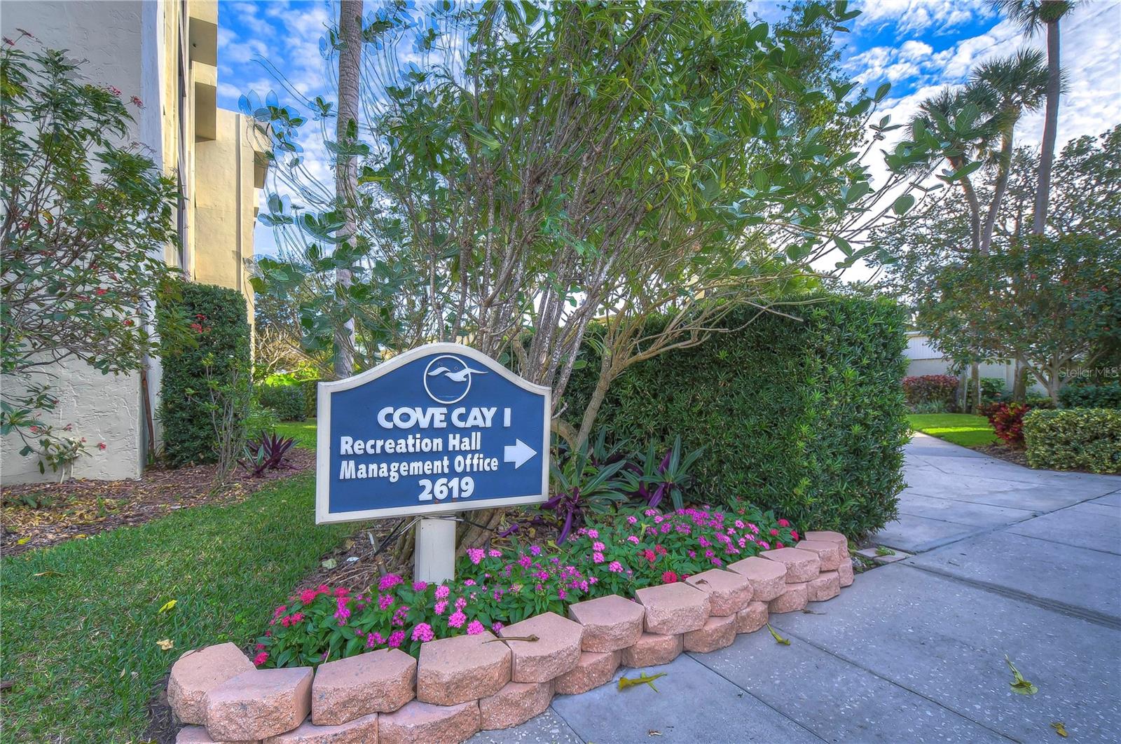 2616 COVE CAY DR #506, CLEARWATER, FL — photo 36