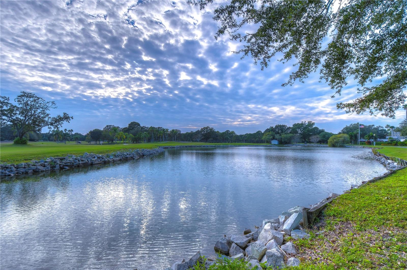 2616 COVE CAY DR #506, CLEARWATER, FL — photo 47