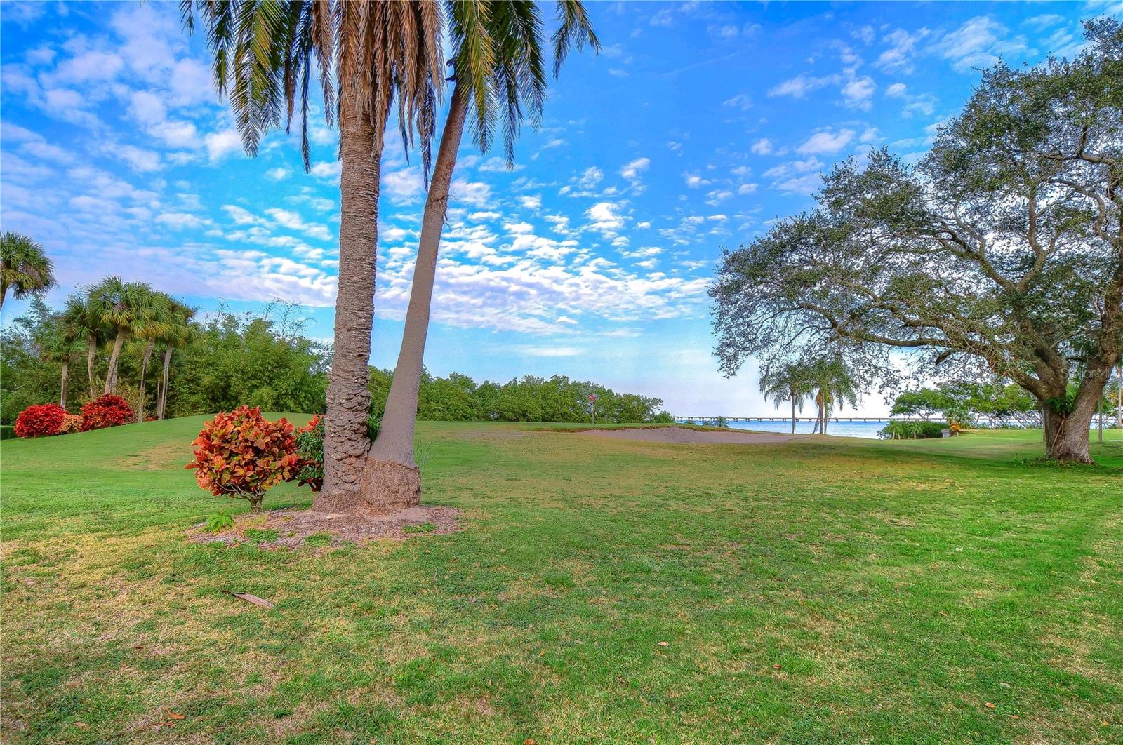 2616 COVE CAY DR #506, CLEARWATER, FL — photo 48