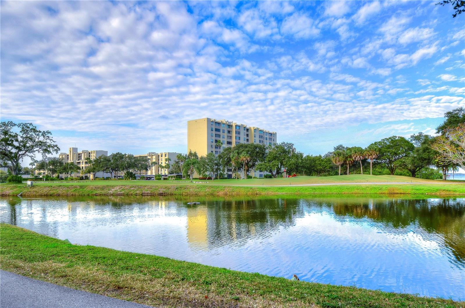 2616 COVE CAY DR #506, CLEARWATER, FL — photo 49