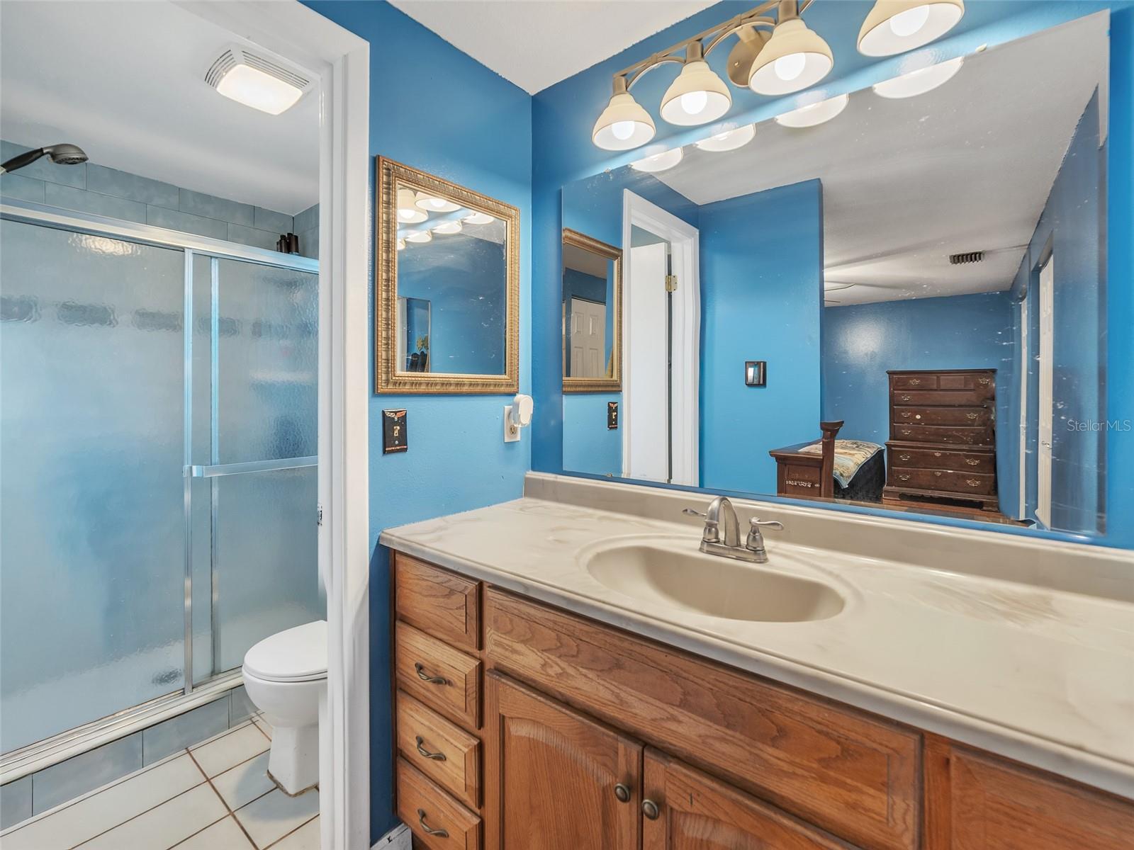 3509 KING GEORGE LN, SEFFNER, FL — photo 16