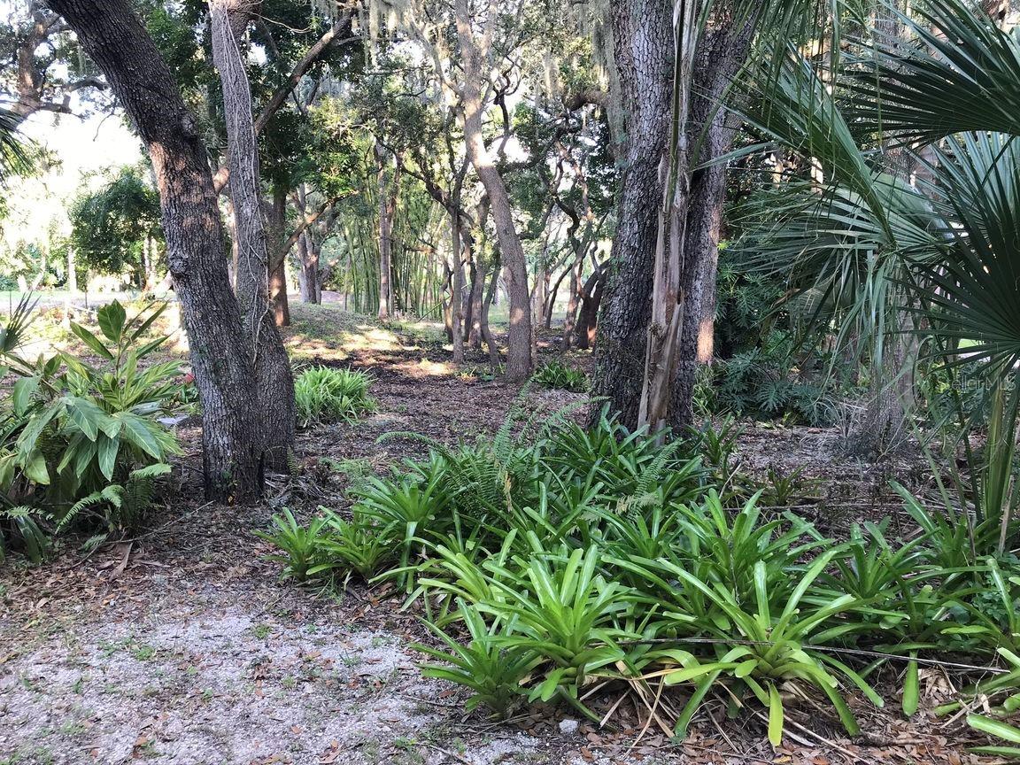 4407 S SHADE AVE, SARASOTA, FL — photo 5