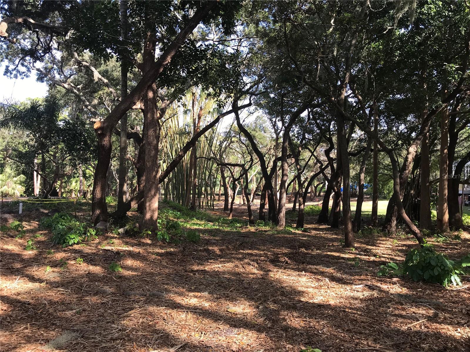 4407 S SHADE AVE, SARASOTA, FL — photo 9