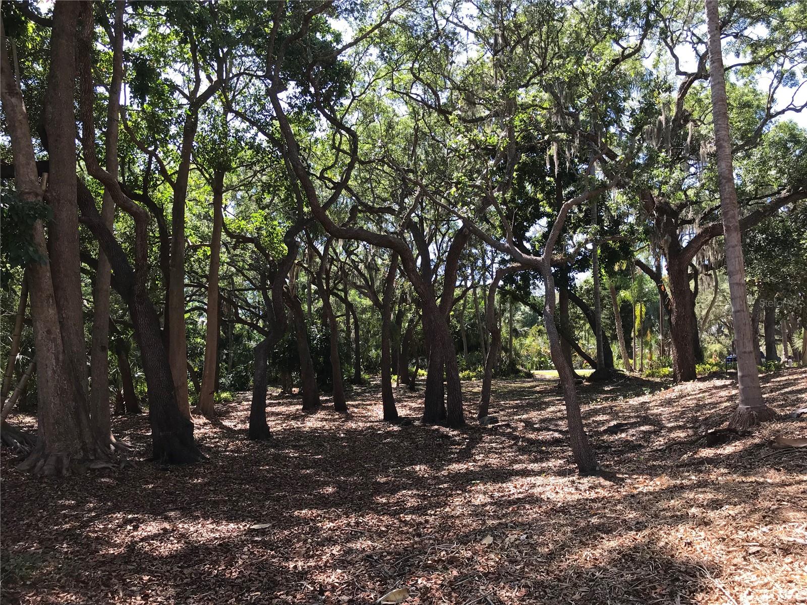 4407 S SHADE AVE, SARASOTA, FL — photo 10