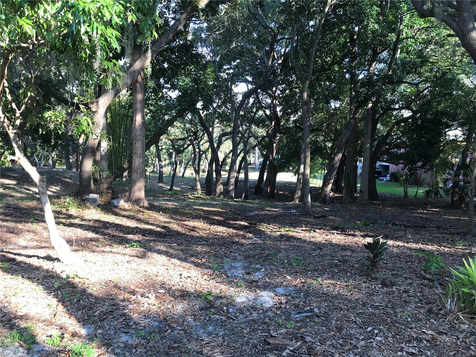 4407 S SHADE AVE, SARASOTA, FL — photo 13