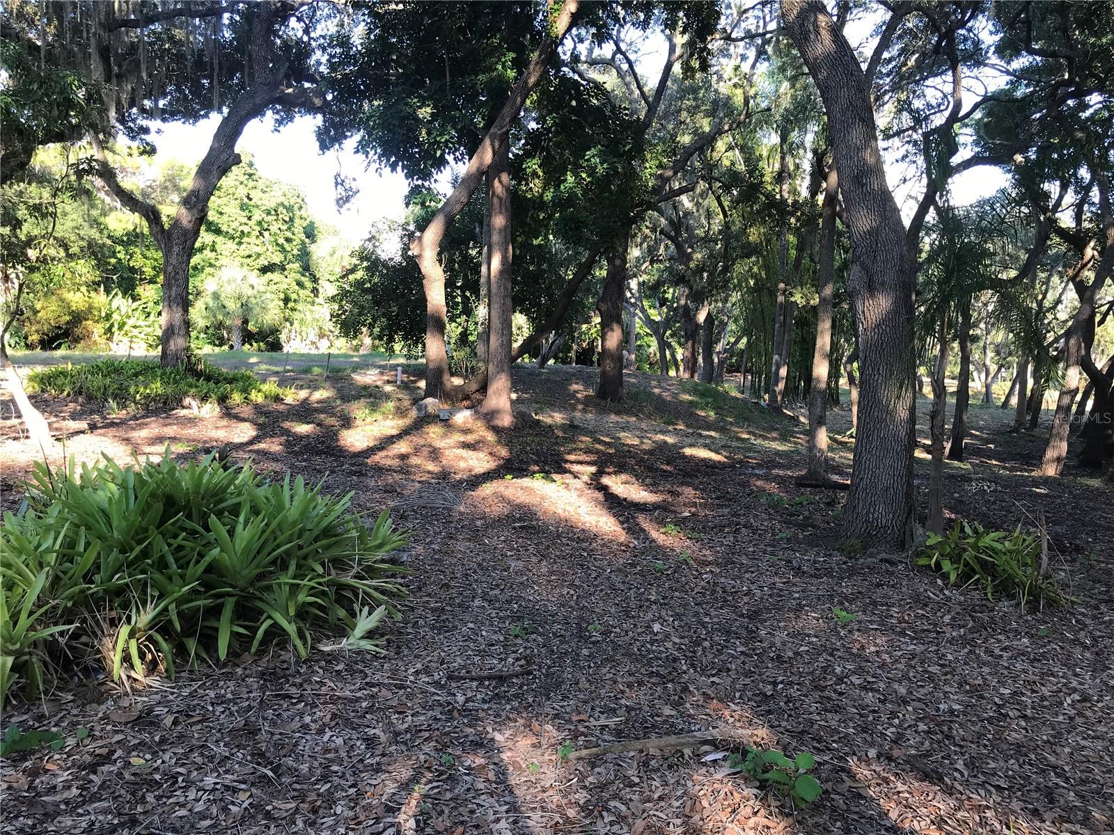 4407 S SHADE AVE, SARASOTA, FL — photo 16