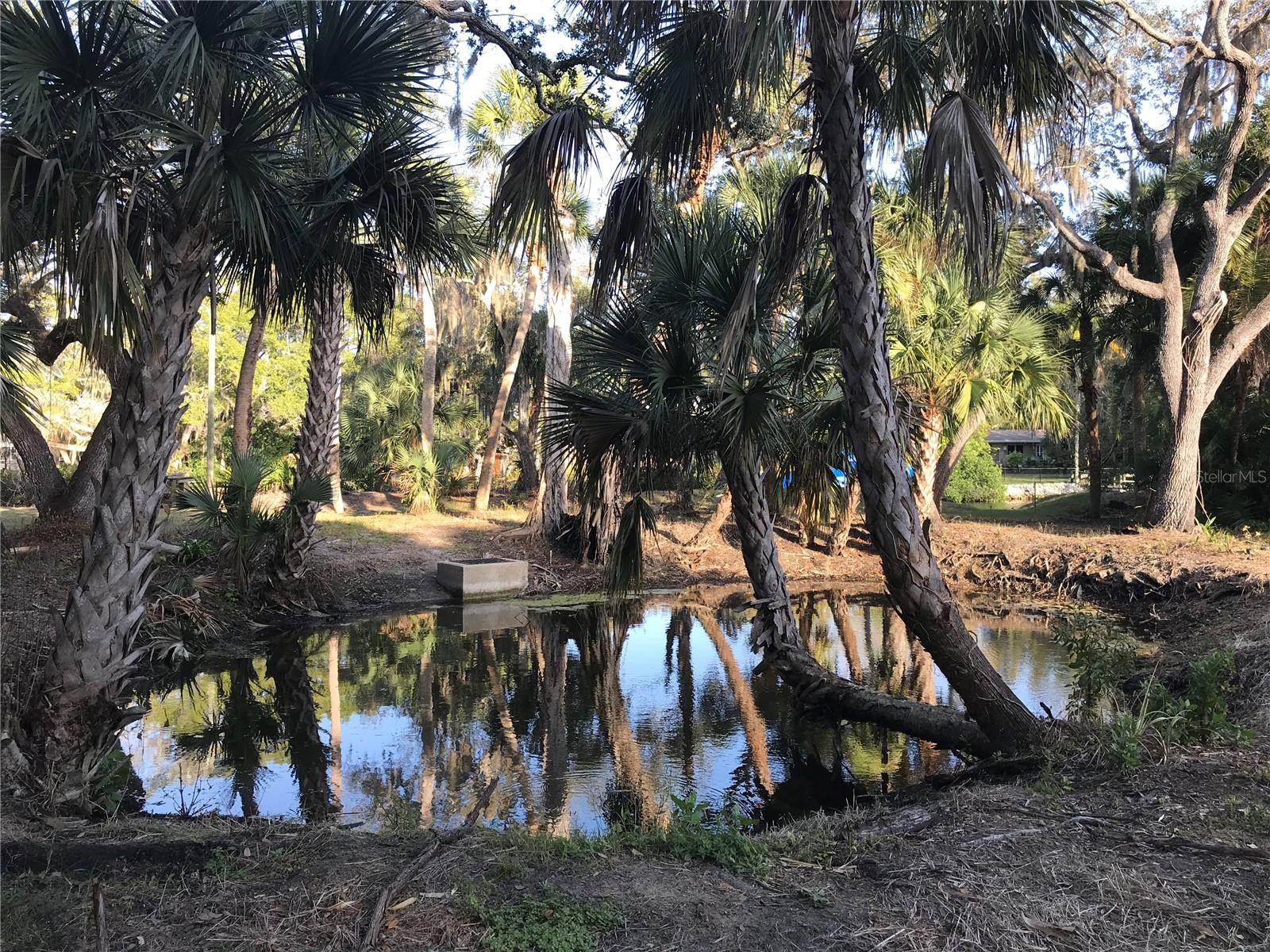4407 S SHADE AVE, SARASOTA, FL — photo 17