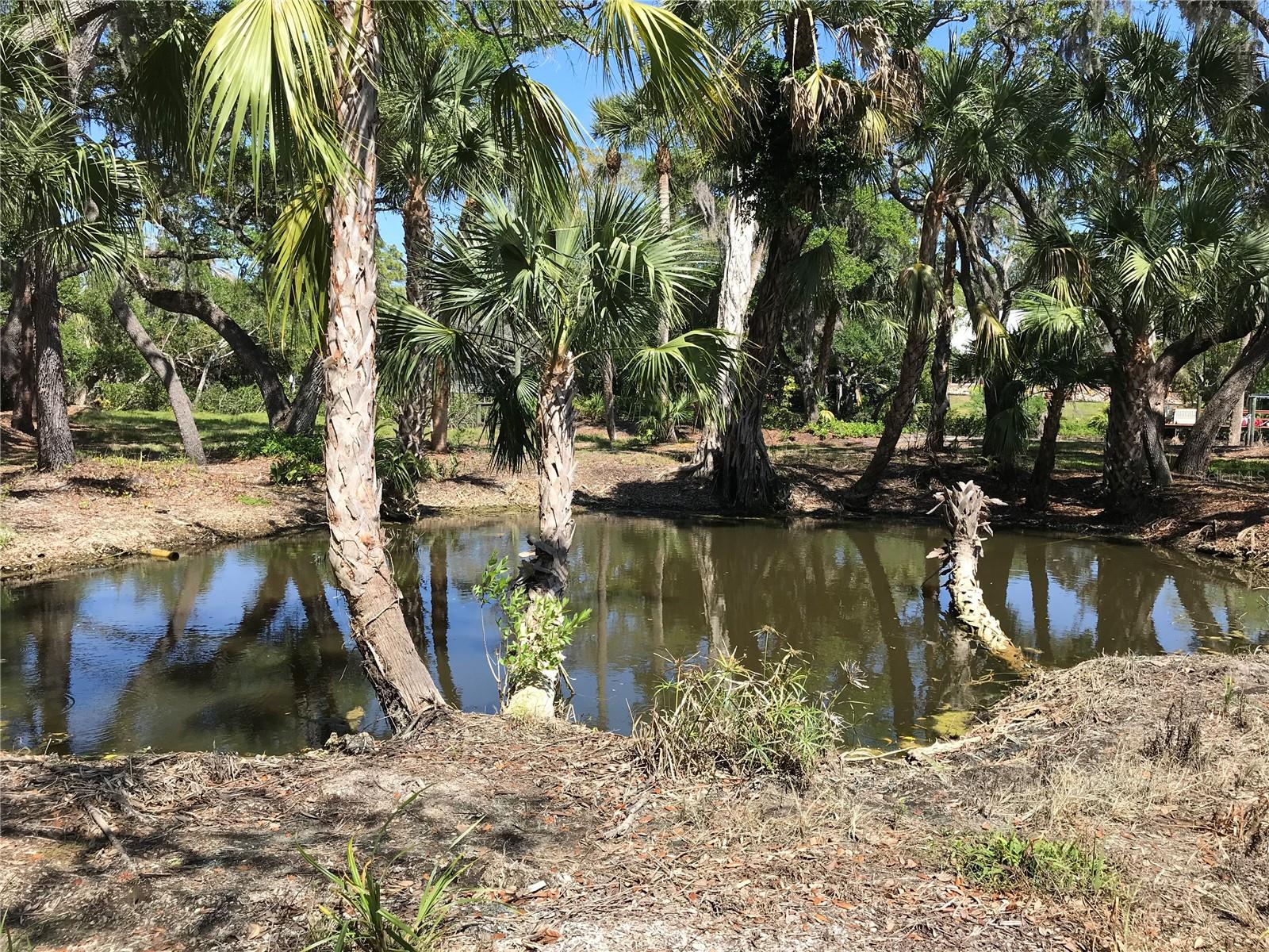 4407 S SHADE AVE, SARASOTA, FL — photo 18