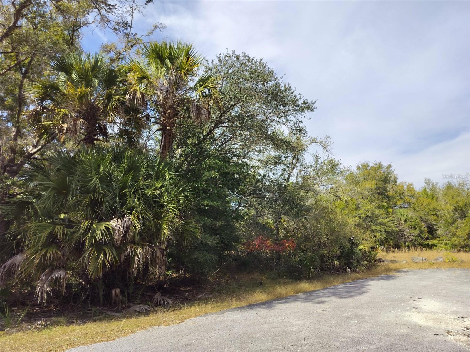 9999 N SNOWBALL PT, CRYSTAL RIVER, FL — photo 23