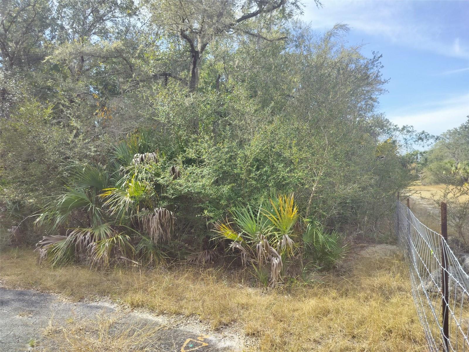 9999 N SNOWBALL PT, CRYSTAL RIVER, FL — photo 29