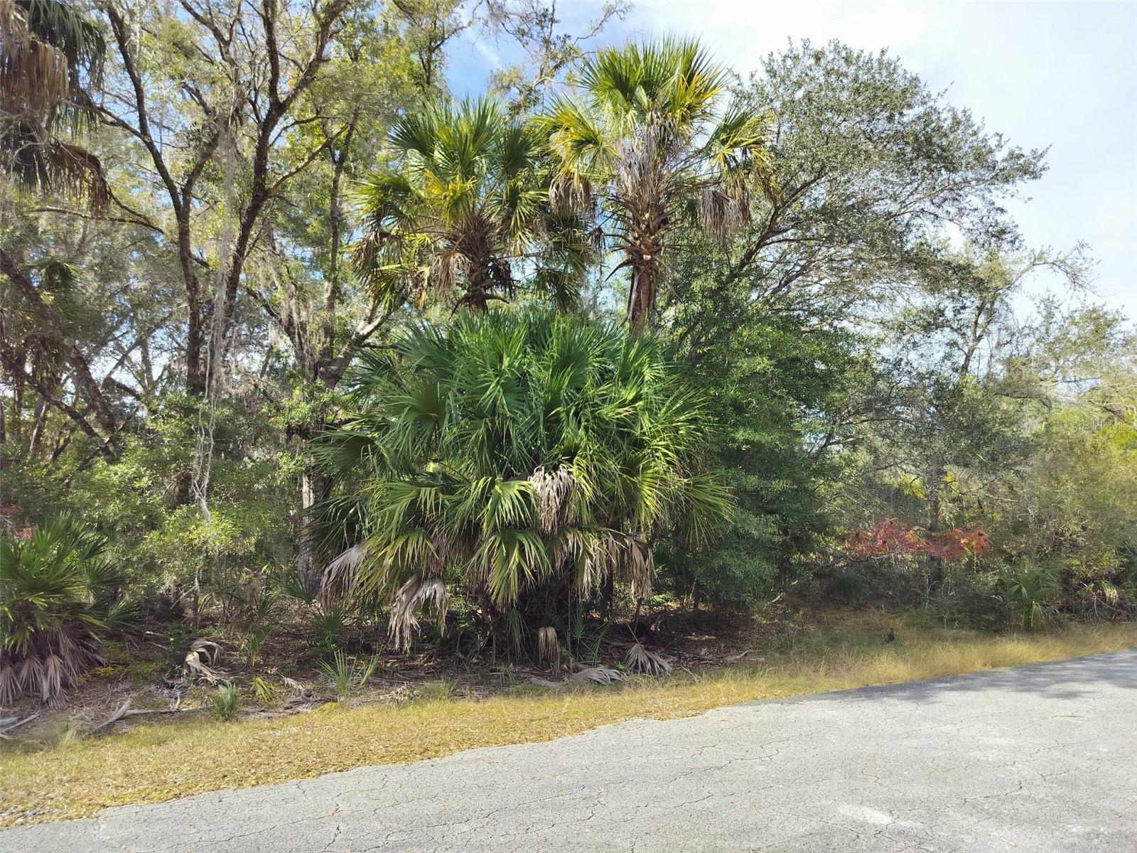 9999 N SNOWBALL PT, CRYSTAL RIVER, FL — photo 35
