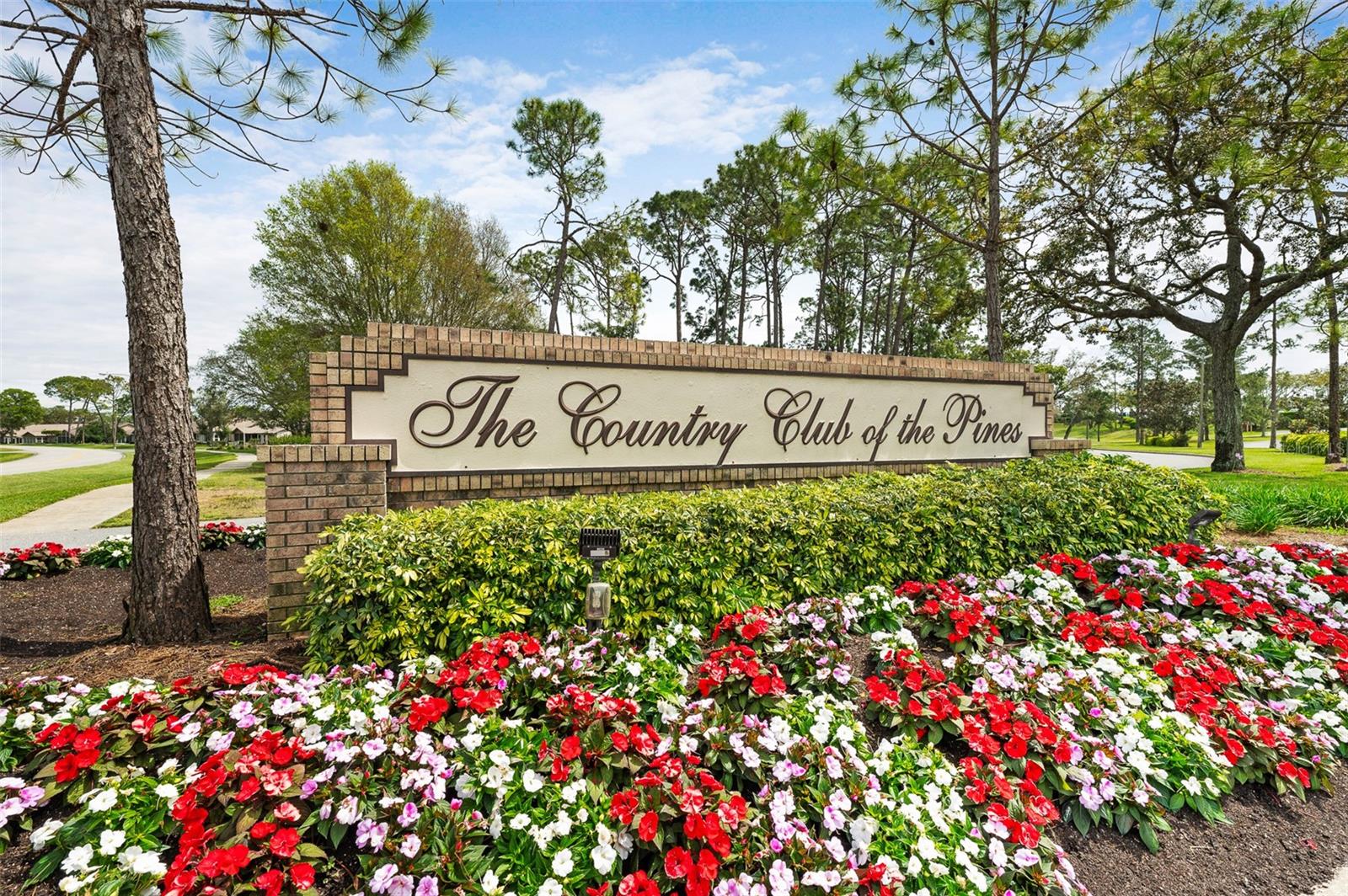 2436 DEER TRAIL LN, SPRING HILL, FL — photo 25