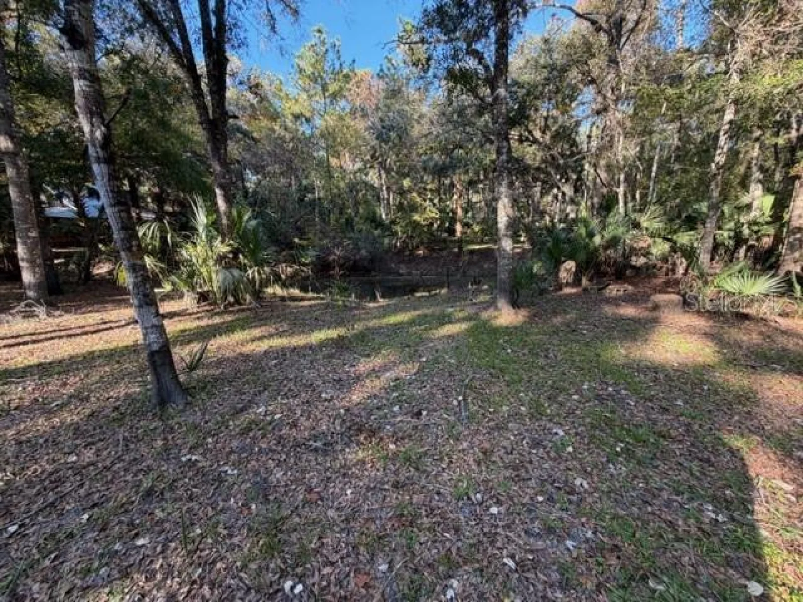 6455 E SIOUX CANAL DR, HERNANDO, FL — photo 7